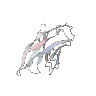 13873_7q9m_J_v1-3
Beta-53 fab in complex with SARS-CoV-2 beta-Spike glycoprotein