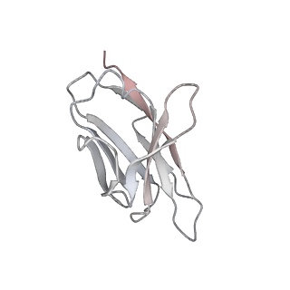 13873_7q9m_K_v1-3
Beta-53 fab in complex with SARS-CoV-2 beta-Spike glycoprotein