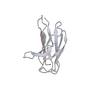 13873_7q9m_L_v1-3
Beta-53 fab in complex with SARS-CoV-2 beta-Spike glycoprotein