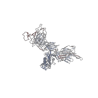 13875_7q9p_A_v1-3
Beta-06 fab in complex with SARS-CoV-2 beta-Spike glycoprotein