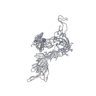 13875_7q9p_C_v1-3
Beta-06 fab in complex with SARS-CoV-2 beta-Spike glycoprotein