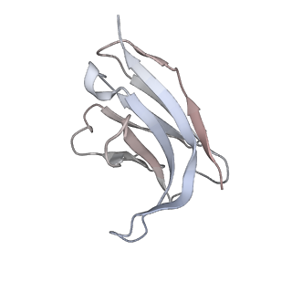 13875_7q9p_H_v1-3
Beta-06 fab in complex with SARS-CoV-2 beta-Spike glycoprotein