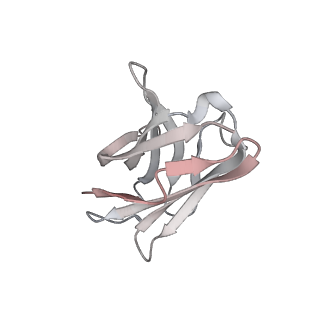 13875_7q9p_J_v1-3
Beta-06 fab in complex with SARS-CoV-2 beta-Spike glycoprotein