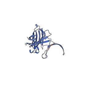 13876_7q9y_A_v1-2
Cryo-EM structure of the octameric pore of Clostridium perfringens beta-toxin.
