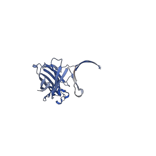 13876_7q9y_B_v1-2
Cryo-EM structure of the octameric pore of Clostridium perfringens beta-toxin.