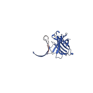 13876_7q9y_F_v1-2
Cryo-EM structure of the octameric pore of Clostridium perfringens beta-toxin.