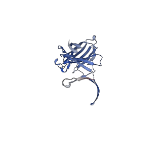 13876_7q9y_H_v1-2
Cryo-EM structure of the octameric pore of Clostridium perfringens beta-toxin.