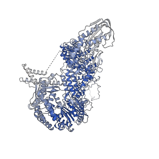 18267_8q91_A_v1-0
Structure of the human 20S U5 snRNP core