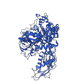 18267_8q91_C_v1-0
Structure of the human 20S U5 snRNP core