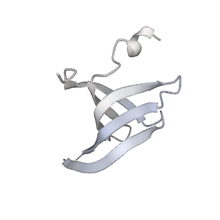 18267_8q91_h_v1-0
Structure of the human 20S U5 snRNP core