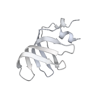 18267_8q91_i_v1-0
Structure of the human 20S U5 snRNP core