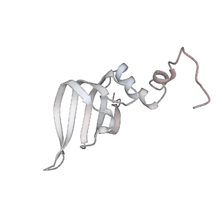 18267_8q91_j_v1-0
Structure of the human 20S U5 snRNP core