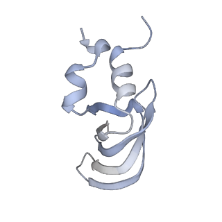 18267_8q91_k_v1-0
Structure of the human 20S U5 snRNP core