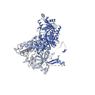 18288_8q9t_A_v1-0
CryoEM structure of a S. Cerevisiae Ski238 complex bound to RNA