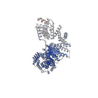 18288_8q9t_E_v1-0
CryoEM structure of a S. Cerevisiae Ski238 complex bound to RNA