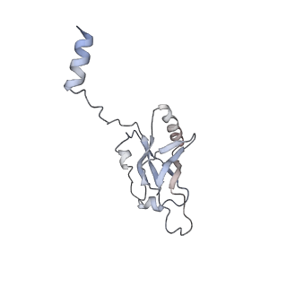 4475_6q95_5_v1-1
Structure of tmRNA SmpB bound in A site of T. thermophilus 70S ribosome