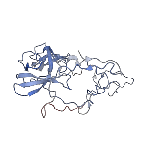 4475_6q95_B_v1-1
Structure of tmRNA SmpB bound in A site of T. thermophilus 70S ribosome