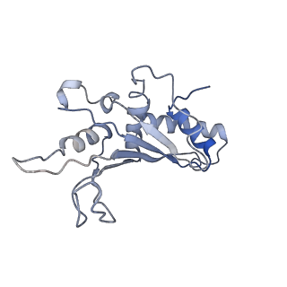 4475_6q95_E_v1-1
Structure of tmRNA SmpB bound in A site of T. thermophilus 70S ribosome