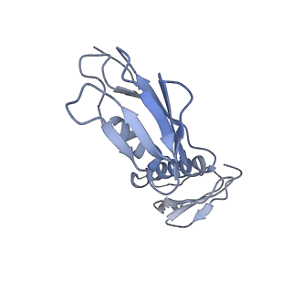 4475_6q95_F_v1-1
Structure of tmRNA SmpB bound in A site of T. thermophilus 70S ribosome