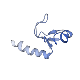 4475_6q95_G_v1-1
Structure of tmRNA SmpB bound in A site of T. thermophilus 70S ribosome