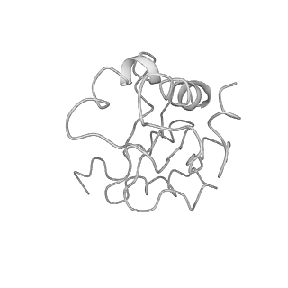 4475_6q95_H_v1-1
Structure of tmRNA SmpB bound in A site of T. thermophilus 70S ribosome