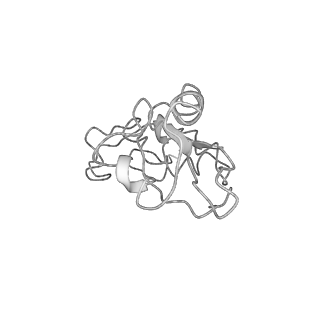 4475_6q95_I_v1-1
Structure of tmRNA SmpB bound in A site of T. thermophilus 70S ribosome