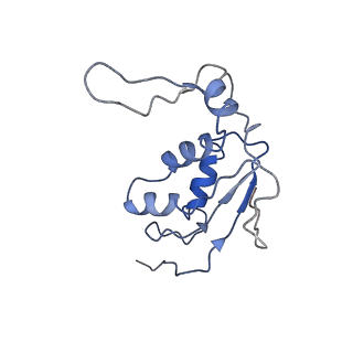 4475_6q95_J_v1-1
Structure of tmRNA SmpB bound in A site of T. thermophilus 70S ribosome