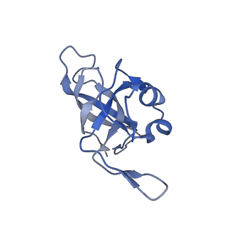 4475_6q95_K_v1-1
Structure of tmRNA SmpB bound in A site of T. thermophilus 70S ribosome