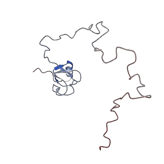 4475_6q95_L_v1-1
Structure of tmRNA SmpB bound in A site of T. thermophilus 70S ribosome