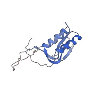 4475_6q95_M_v1-1
Structure of tmRNA SmpB bound in A site of T. thermophilus 70S ribosome