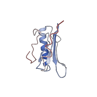4475_6q95_O_v1-1
Structure of tmRNA SmpB bound in A site of T. thermophilus 70S ribosome