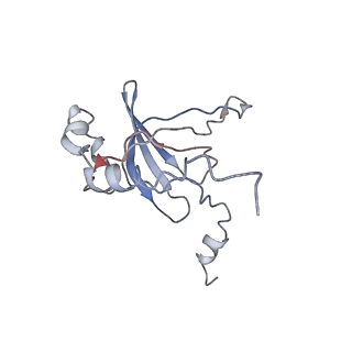 4475_6q95_P_v1-1
Structure of tmRNA SmpB bound in A site of T. thermophilus 70S ribosome