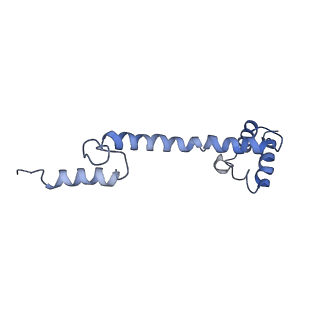 4475_6q95_Q_v1-1
Structure of tmRNA SmpB bound in A site of T. thermophilus 70S ribosome