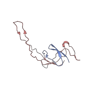 4475_6q95_R_v1-1
Structure of tmRNA SmpB bound in A site of T. thermophilus 70S ribosome