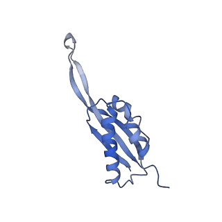 4475_6q95_S_v1-1
Structure of tmRNA SmpB bound in A site of T. thermophilus 70S ribosome