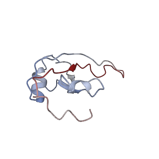 4475_6q95_T_v1-1
Structure of tmRNA SmpB bound in A site of T. thermophilus 70S ribosome