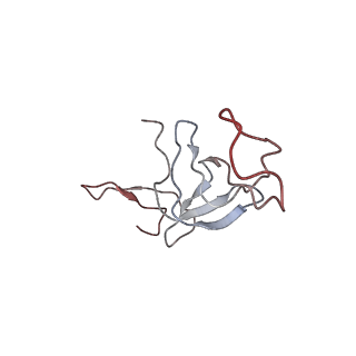 4475_6q95_U_v1-1
Structure of tmRNA SmpB bound in A site of T. thermophilus 70S ribosome