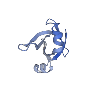 4475_6q95_V_v1-1
Structure of tmRNA SmpB bound in A site of T. thermophilus 70S ribosome