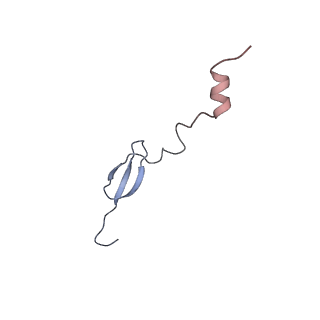 4475_6q95_a_v1-1
Structure of tmRNA SmpB bound in A site of T. thermophilus 70S ribosome