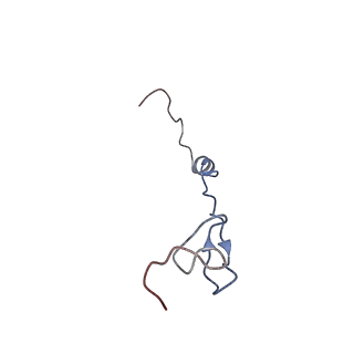 4475_6q95_b_v1-1
Structure of tmRNA SmpB bound in A site of T. thermophilus 70S ribosome