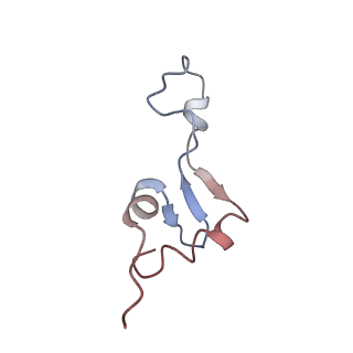 4475_6q95_e_v1-1
Structure of tmRNA SmpB bound in A site of T. thermophilus 70S ribosome
