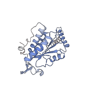 4475_6q95_g_v1-1
Structure of tmRNA SmpB bound in A site of T. thermophilus 70S ribosome