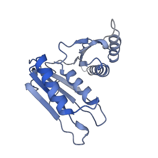 4475_6q95_h_v1-1
Structure of tmRNA SmpB bound in A site of T. thermophilus 70S ribosome
