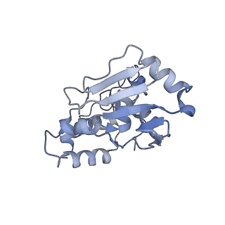 4475_6q95_i_v1-1
Structure of tmRNA SmpB bound in A site of T. thermophilus 70S ribosome