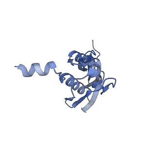 4475_6q95_j_v1-1
Structure of tmRNA SmpB bound in A site of T. thermophilus 70S ribosome