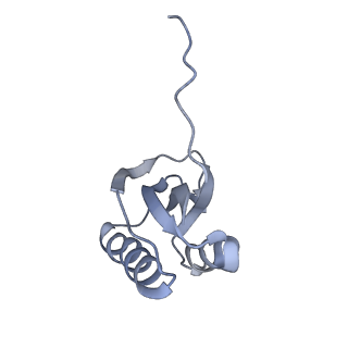 4475_6q95_k_v1-1
Structure of tmRNA SmpB bound in A site of T. thermophilus 70S ribosome
