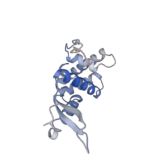 4475_6q95_l_v1-1
Structure of tmRNA SmpB bound in A site of T. thermophilus 70S ribosome