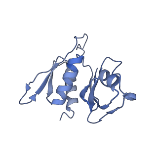 4475_6q95_m_v1-1
Structure of tmRNA SmpB bound in A site of T. thermophilus 70S ribosome