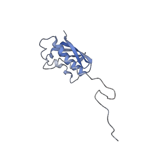 4475_6q95_n_v1-1
Structure of tmRNA SmpB bound in A site of T. thermophilus 70S ribosome