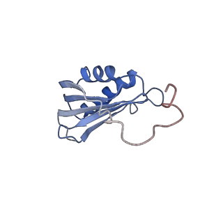 4475_6q95_p_v1-1
Structure of tmRNA SmpB bound in A site of T. thermophilus 70S ribosome